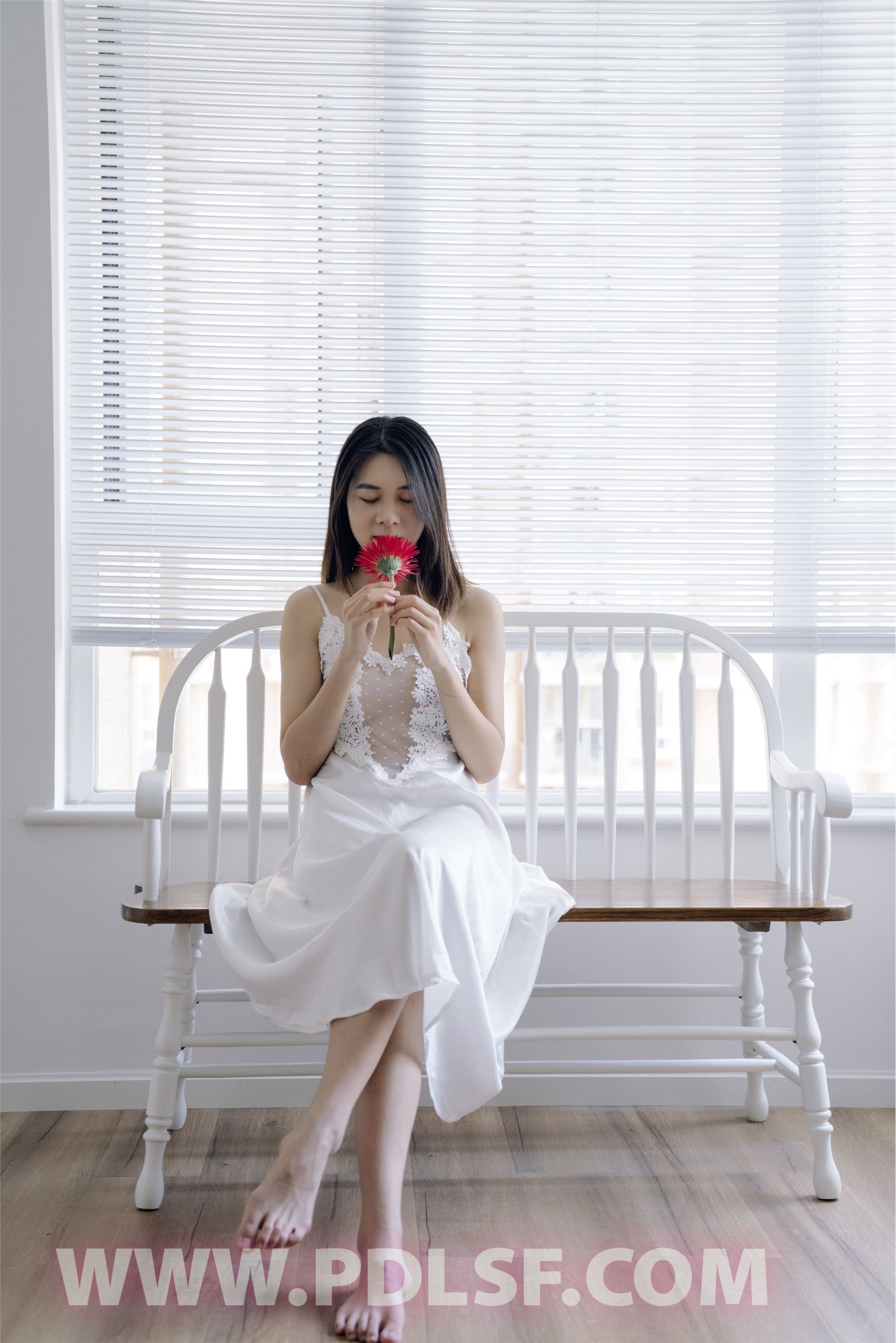 PDL潘多拉 2020.04.02 专辑No.284